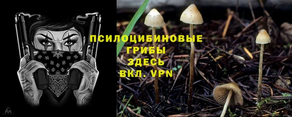 спайс Горнозаводск