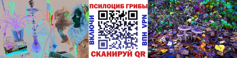 Галлюциногенные грибы Magic Shrooms  Купить закладки  Великий Устюг 
